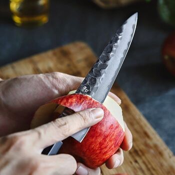 Couteau à légumes en acier composite HEZHEN - Série rétro PM8S 3