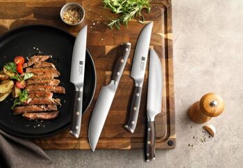Ensemble de couteaux à steak allemands en acier inoxydable Xinzuo - Série B13S Yu 2
