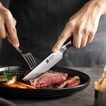 Ensemble de couteaux à steak allemands en acier inoxydable Xinzuo - Série B13S Yu 4