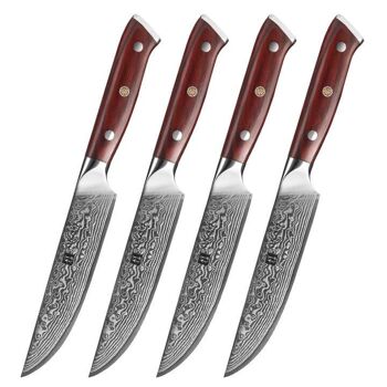 Ensemble de couteaux à steak Xinzuo Damas - Série B13R Yu 1