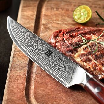 Ensemble de couteaux à steak Xinzuo Damas - Série B13R Yu 3