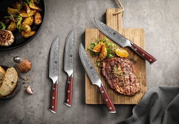 Ensemble de couteaux à steak Xinzuo Damas - Série B13R Yu 5