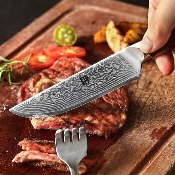 Ensemble de couteaux à steak Xinzuo Damas - Série B13R Yu 6