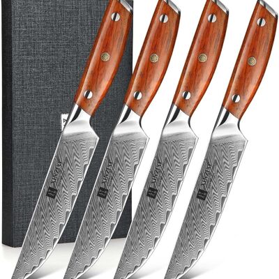 Juego de cuchillos para carne Xinzuo Damascus - Serie B27 Yi