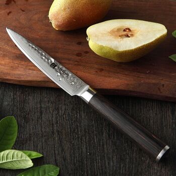 Couteau à légumes - Série B1H He 4
