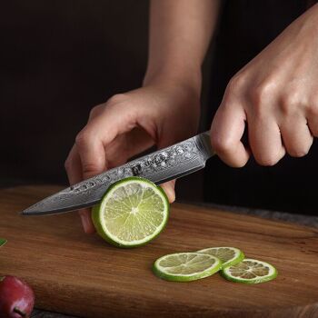 Couteau à légumes - Série B1H He 5