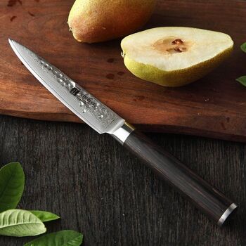 Couteau à légumes Xinzuo Damas - Série B1H He 4