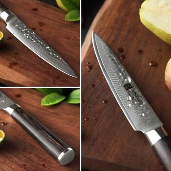 Couteau à légumes Xinzuo Damas - Série B1H He 7
