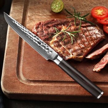 Couteau à steak - Série B1H He 6