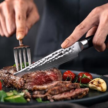 Couteau à steak Xinzuo Damas - Série B1H He 4