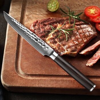 Couteau à steak Xinzuo Damas - Série B1H He 6