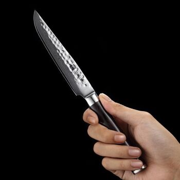 Couteau à steak Xinzuo Damas - Série B1H He 7