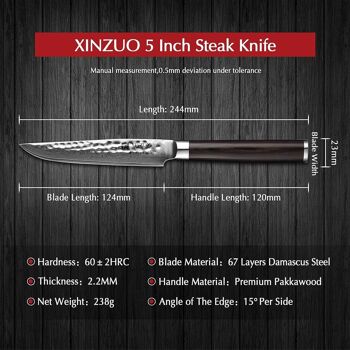 Couteau à steak Xinzuo Damas - Série B1H He 10