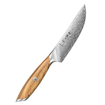 Couteau à steak HEZHEN Damas - Série phare X01 1