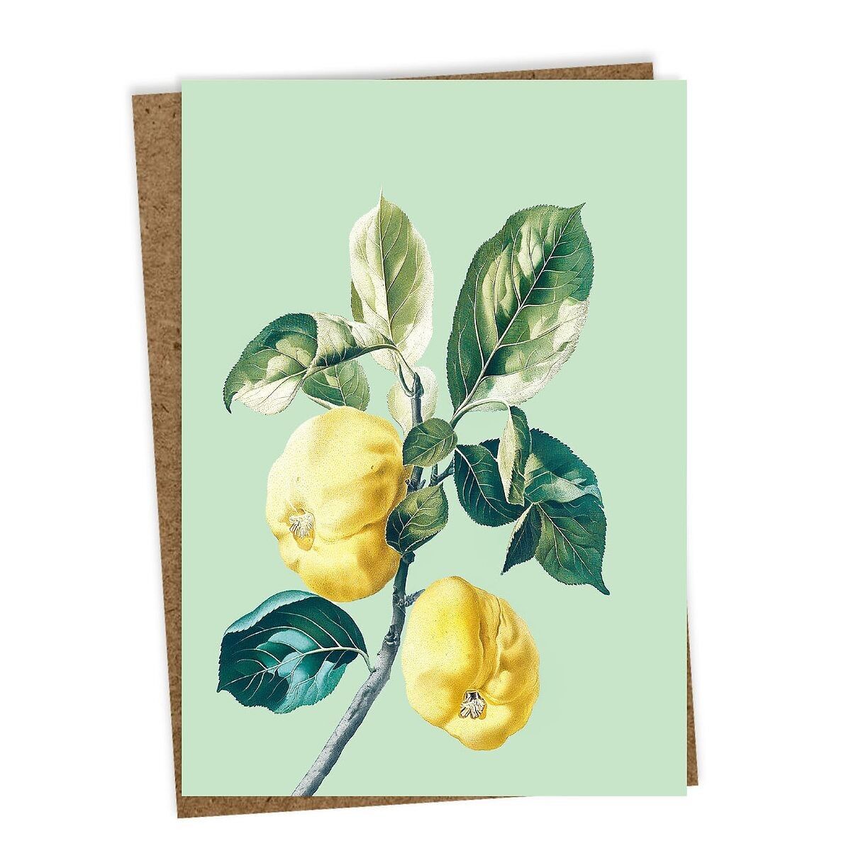 Biglietto d'auguri mela cotogna