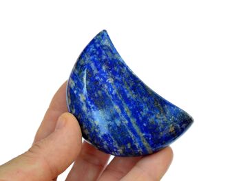 Cristal de Lune Lapis Lazuli (65mm - 95mm) 4