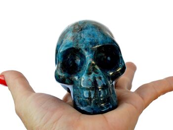 Crâne d'apatite bleue 4
