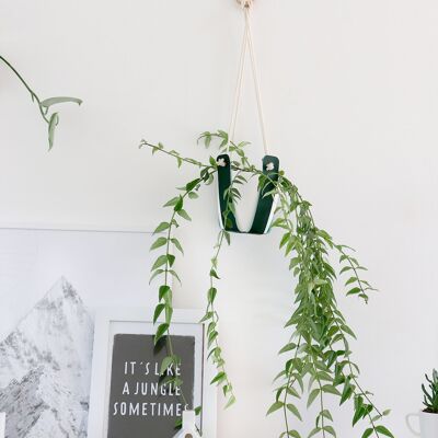 Suspension unie sapin
