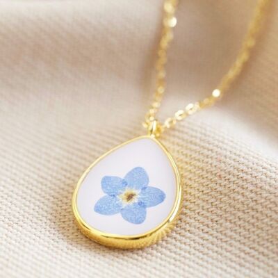 Real Pressed Forget Me Not Flower Necklace in Gold