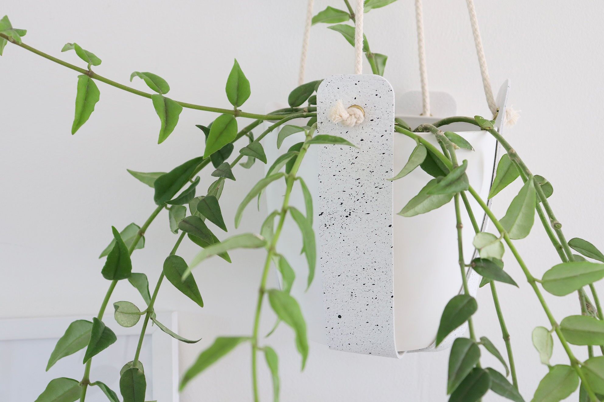 White speckled suspension