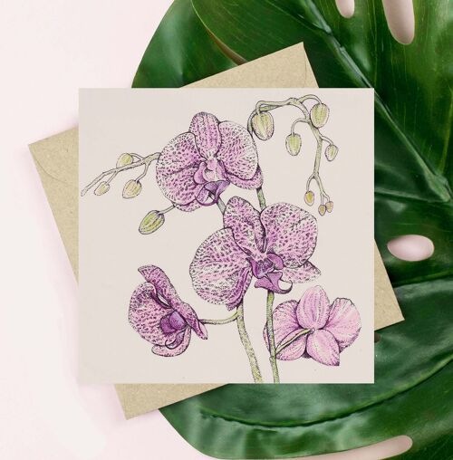 Orchid Greeting Card