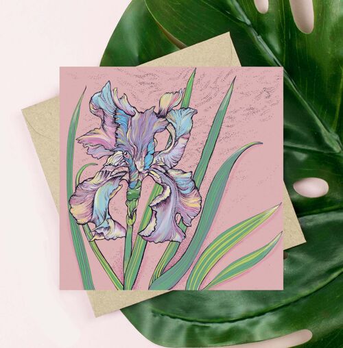 Single Iris Greeting Card