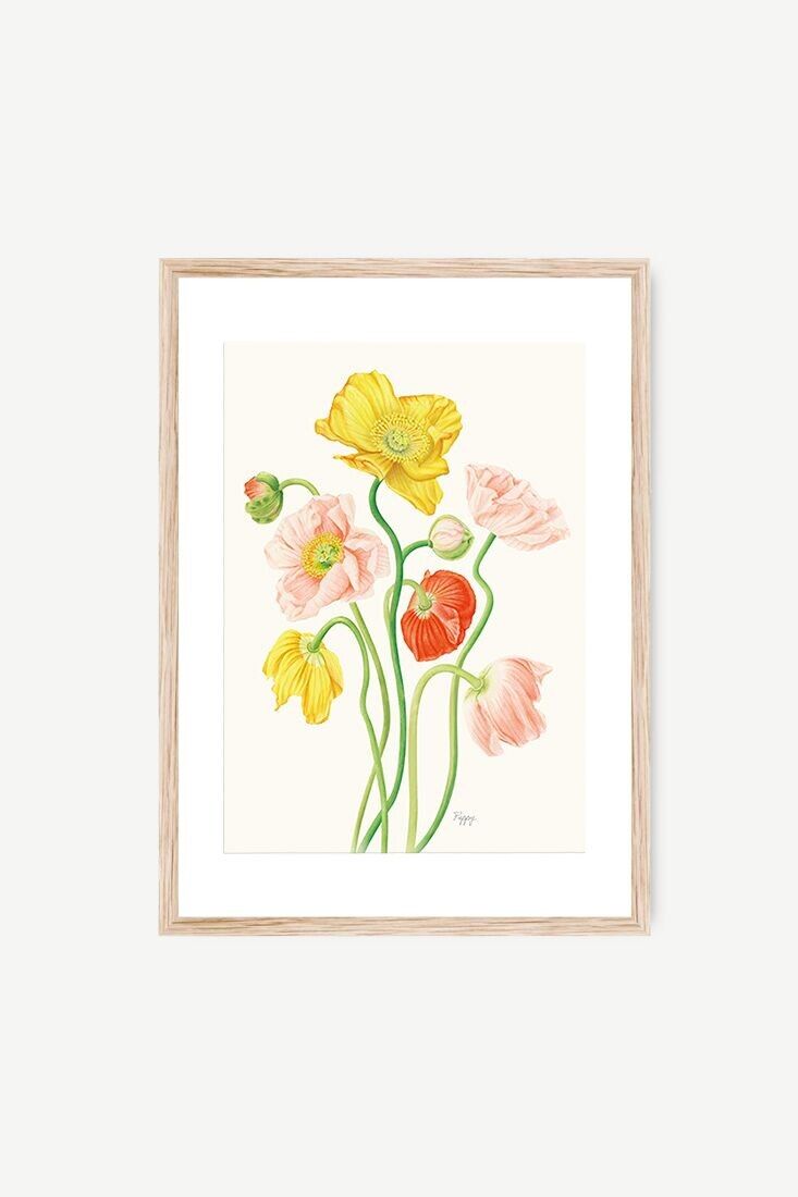 Foglio decorativo papavero