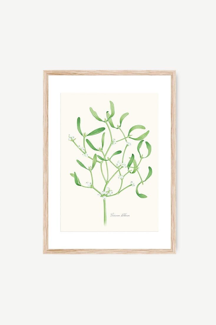 Foglio decorazione vischio