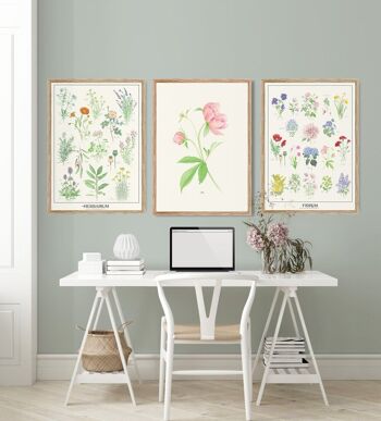 Feuille décorative PIVOINES 6