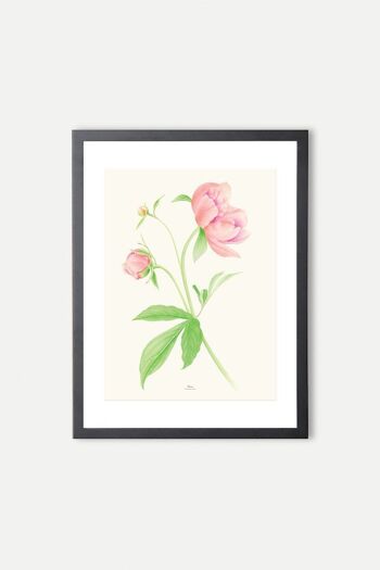 Feuille décorative PIVOINES 8