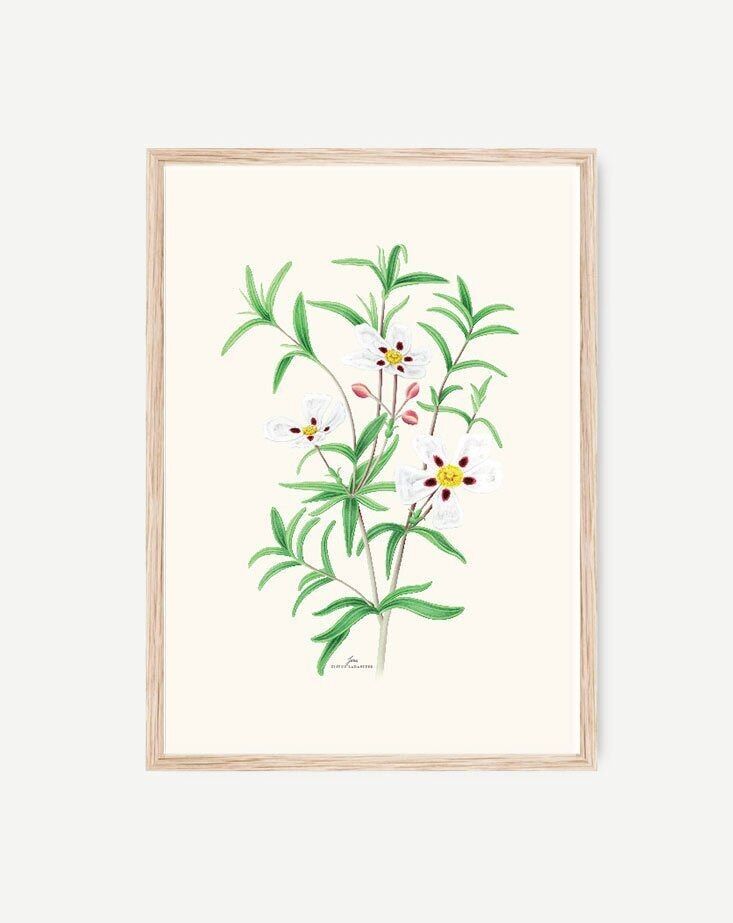 Foglio decorativo JARA