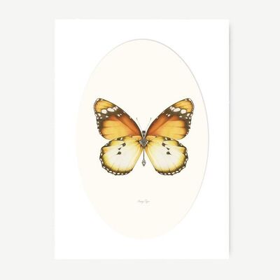 Stampa acquerello farfalla tigre arancione
