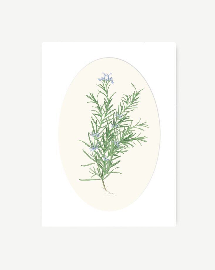 ROSEMARY-Dekorblatt