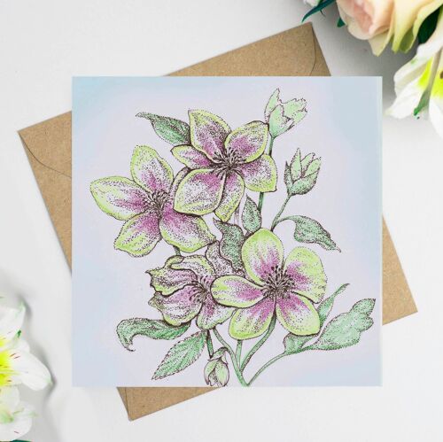 Hellebores Greeting Card