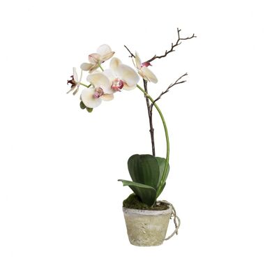 Composizione di orchidea artificiale Sina formato medio