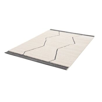 Tapis sculpté très doux de style ethnique ABRID 6