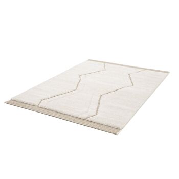 Tapis sculpté très doux de style ethnique ABRID 6