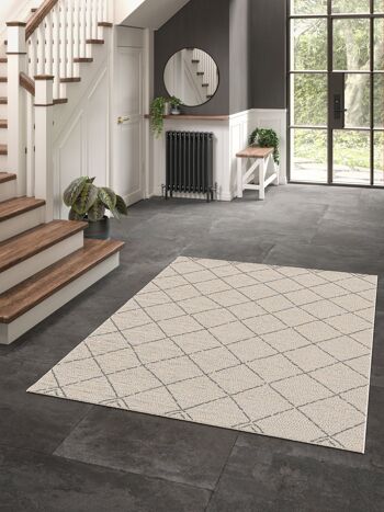 Tapis intérieur extérieur HUDSON 5