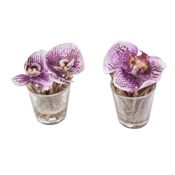 Orchidées Artificielles en Illusion d'Eau Sissi 7