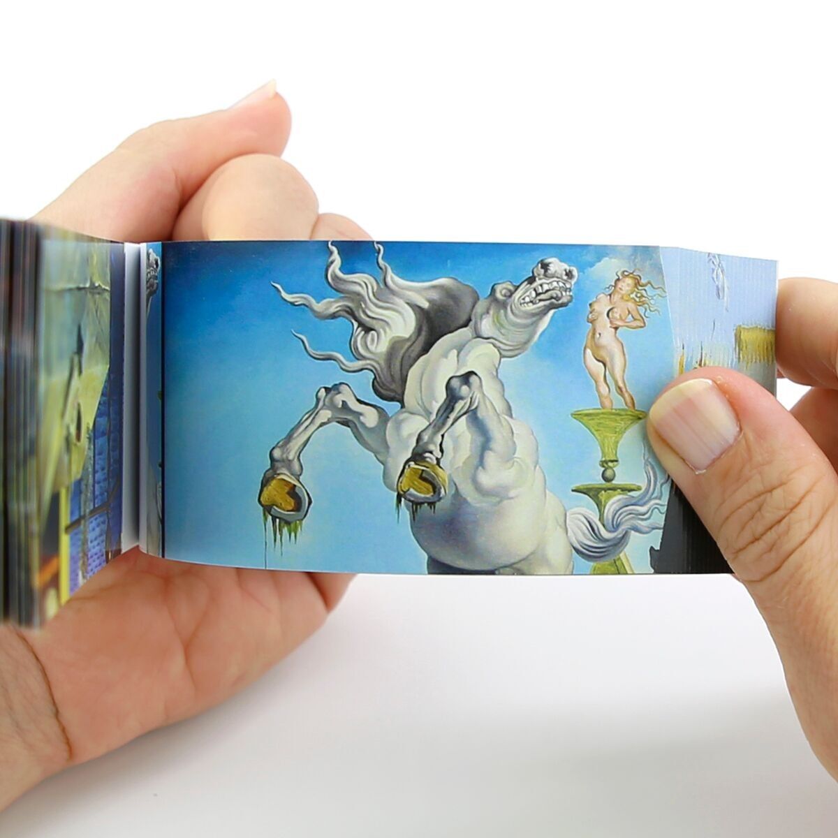 Salvador Dalí Flipbook