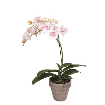 Orchidée Artificielle Dendrobium 2