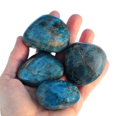 Cristallo burattato XL di apatite blu (40 mm - 60 mm)