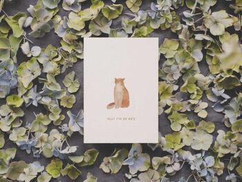 Tout pour le chat' | carte postale 2