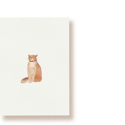 Katze | Postkarte