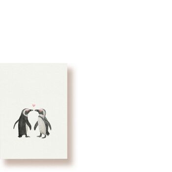 Pingouins amoureux | carte postale 1