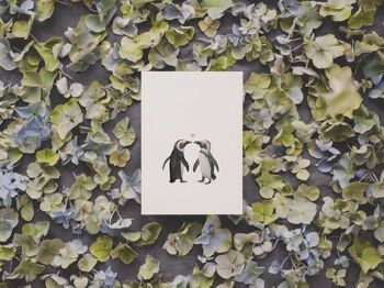 Pingouins amoureux | carte postale 2