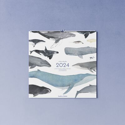 Calendario de ballenas 2024