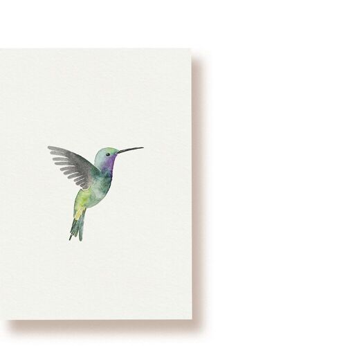 Kolibri | Postkarte