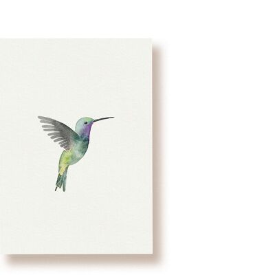 Colibri | carte postale
