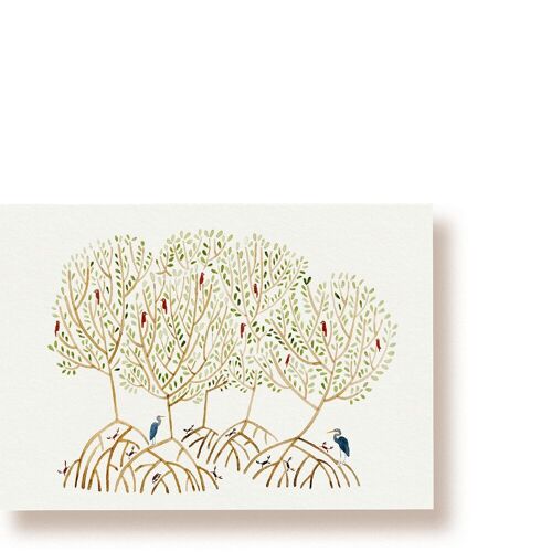 Mangrove | Postkarte